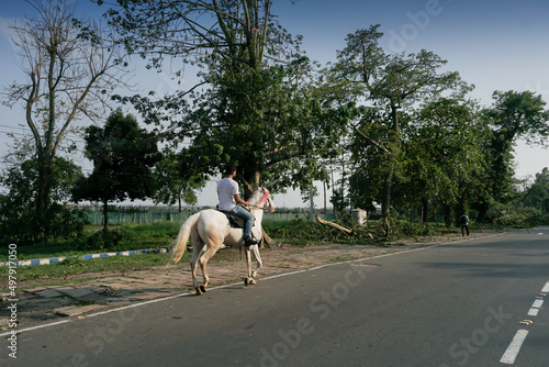 Kolkata, West Bengal, India - 22nd May 2020 : Super cyclone Amphan uprooted tree which fell and blocked pavement. The devastation has made many trees fall on ground. A horse rider is passing by.