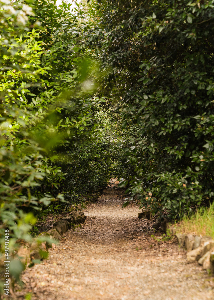path in beautiful Italian garden path in beautiful Italian garden