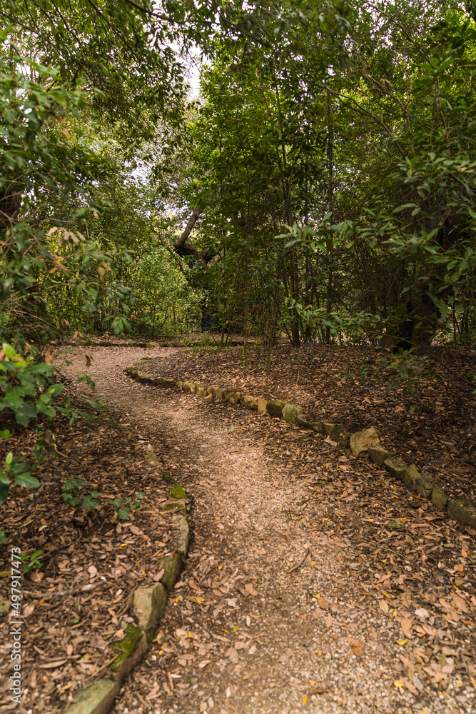 curved path in beautiful Italian garden curved path in beautiful Italian garden