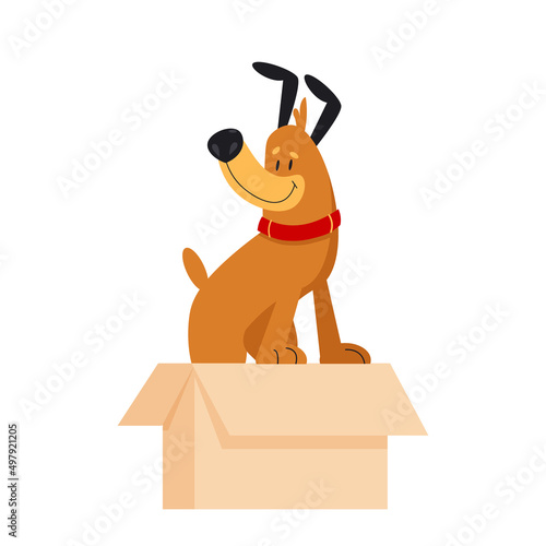 Cute cartoon dog in a box. Adorable puppy. Homeless animals concept, pets adoption theme. Vector illustration isolated on a white background. Adopt a friend, homeless pet. Help animal to find a home.