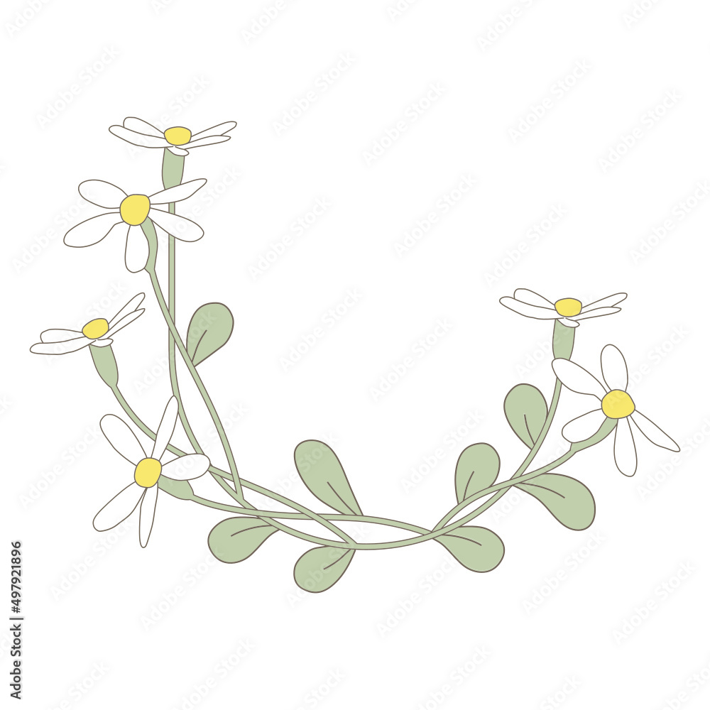 spring flower, vector