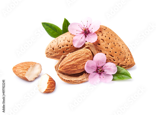 blossoming almonds with flowers