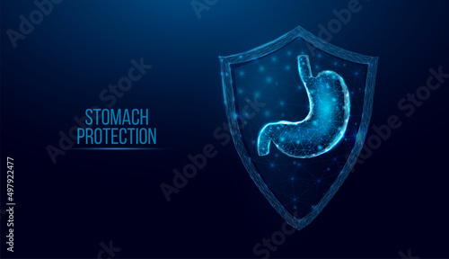 Human stomach protection. Wireframe low poly style. Concept for medical, pharmacology treatment of the digestive system. Abstract modern 3d vector illustration on dark blue background