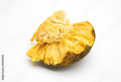 Canvas Print selective focus, Artocarpus lacucha fruit or monkey fruit, or Monkey Jack or Bar