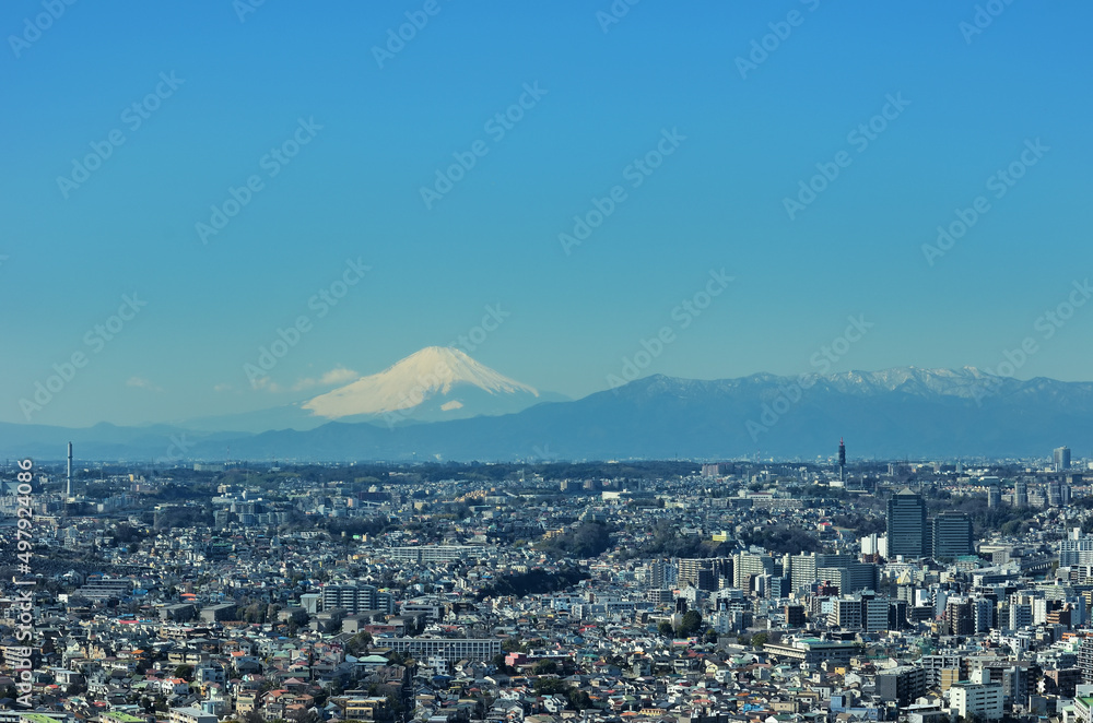横浜の街並みと冠雪の富士山
