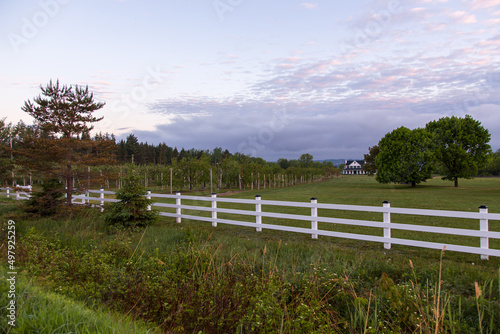 White fenced large rural property with apple trees rows and house in soft focus background, St. Antoine-de-Tilly, Quebec, Canada