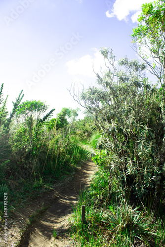  itatiaia national park located in brazil