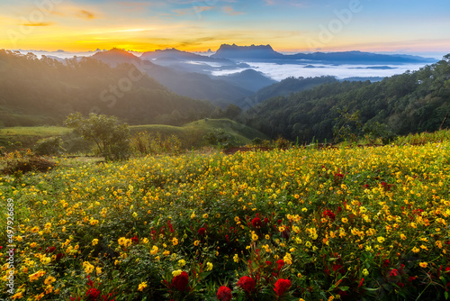 Beautiful landscape in the morning at Doi Luang Chiang Dao  Chiang Mai  Thailand