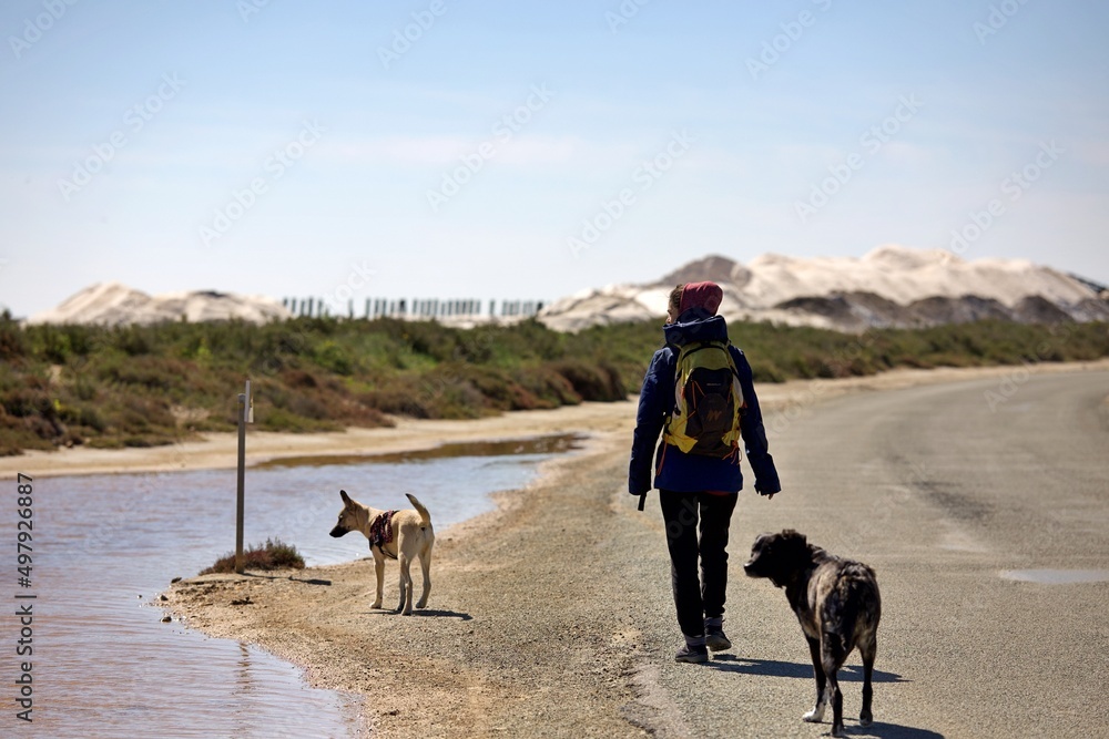 Exploration femme et chiens près des marais salants - tourisme aventure 