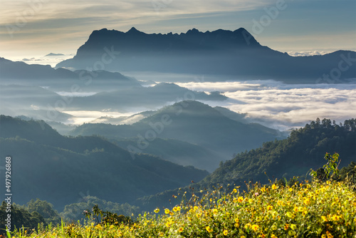 Fototapeta Naklejka Na Ścianę i Meble -  Beautiful landscape in the morning at Doi Luang Chiang Dao, Chiang Mai, Thailand