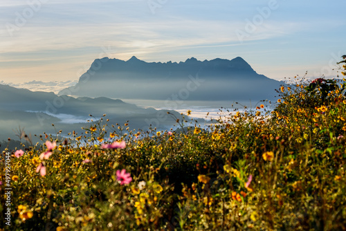 Beautiful landscape in the morning at Doi Luang Chiang Dao, Chiang Mai, Thailand