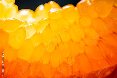 orange jelly beans photo