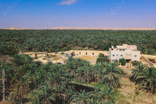 Panoramic View to the Oasis Siwa with Green Palm Trees around, Egypt