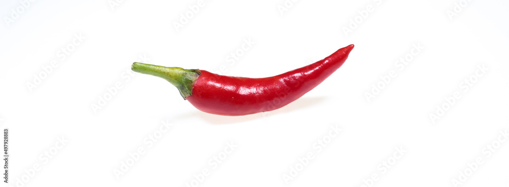 Chilli or naga morich isolated on a white background. Chilli or naga morich isolated on a white background.
