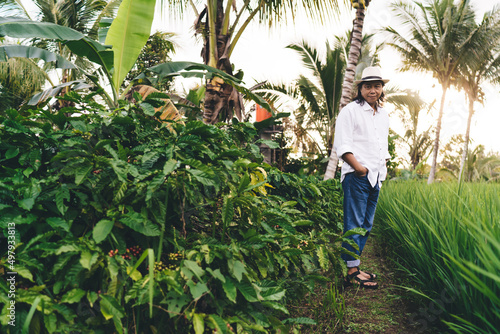 Adult male in casual white clothes posing between rice and caffeine fields have agriculture business in Thailand, portrait of Balinese man entrepreneur in hat looking at camera at own farmland