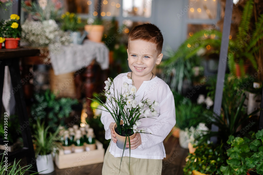 Cute boy holding potted plants in a greenhouse. Little farmer caring for flowers. Country life. The child is engaged in botany love for nature. botanist. Flower shop florist