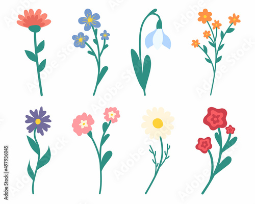 set of beautiful spring flowers. A collection of pretty flowers for a bouquet. Vector flowers for postcards
