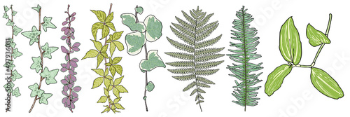 Canvastavla Set of leaves and branches such as Green forest and Japanese painted fern