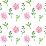 Watercolor floral seamless pattern. Isolated  pink flowers and green leaves on white background.  Hand drawn of chrysanthemums painting.