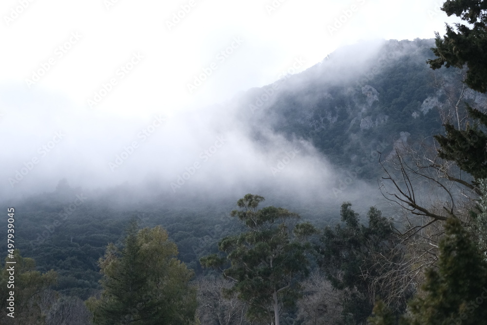 Mallorca Berge Nebel