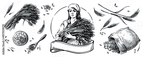 A farmer girl in a headscarf holds wheat in her hands. Great for logo and packaging. Grains of wheat in a canvas bag and a wooden spoon. Isolated headpiece. The illustration is hand drawn.