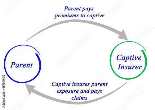 How captive insurance works Fototapeta