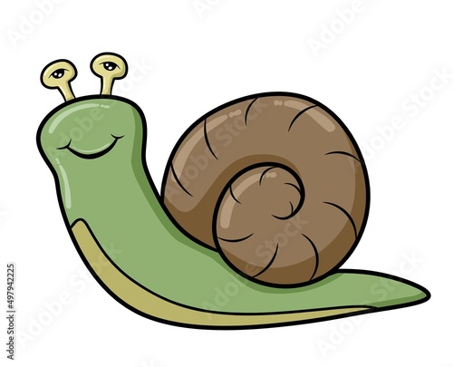 funny snail cartoon isolated on white