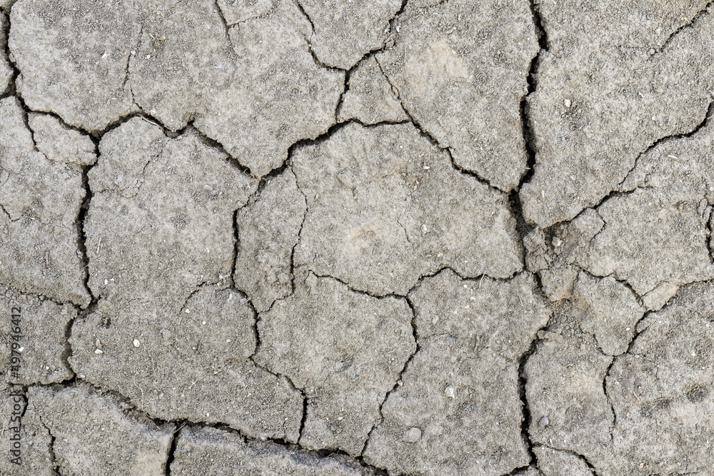 The surface of the soil is covered with cracks during drought