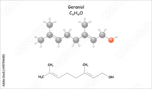 Stylized molecule model/structural formula of geraniol. pheromone and use in perfumery.