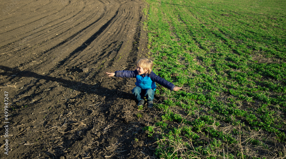 child sits on the border of unplanted soil and wheat shoots. Environment and humanity. Earth Day. ecosystem conservation concept. rebirth of nature in spring child sits on the border of unplanted soil and wheat shoots. Environment and humanity. Earth Day. ecosystem conservation concept. rebirth of nature in spring