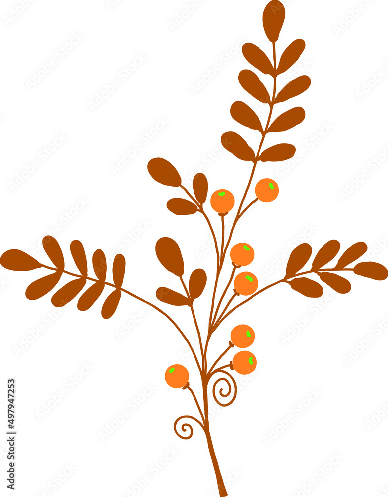 Decorative twig with leaves and berries. Decorative twig with leaves and berries.