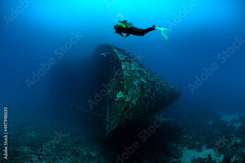 Wallpaper Mural Diver swimming about the sink ship in a deep Torontodigital.ca