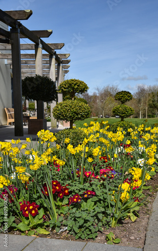 spring in the garden