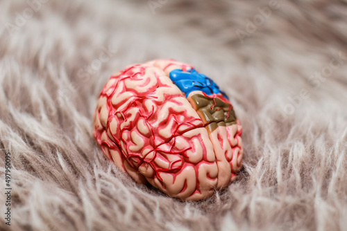 Toy brain on brown wool background. Mini red and pink brain macro view, close up. Mental health. Psychology of memory