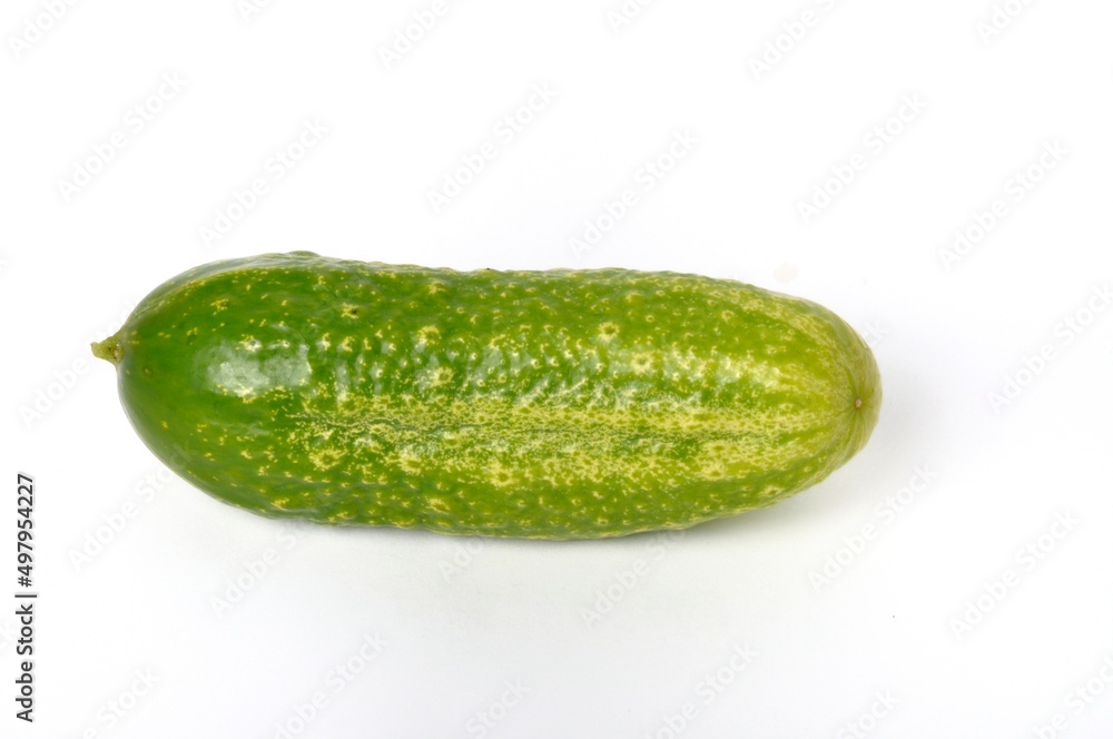 Small cucumber on a white background Small cucumber on a white background