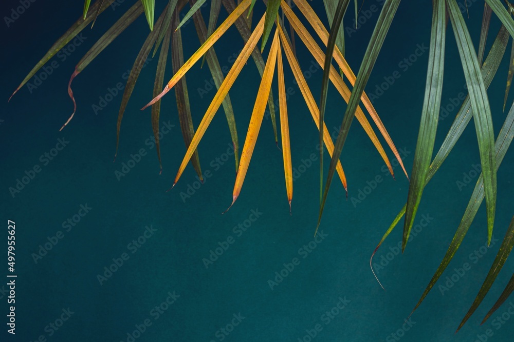Abstract pattern of palm leaves on a green background. Tropical vacation.