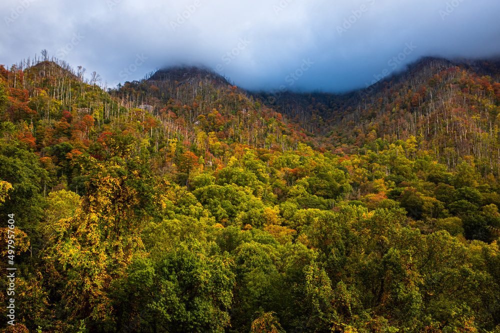 Thunderstorm and rain clouds over mountainside with beautiful saturated fall colors in the Great Smoky Mountains National Park, Tennessee, USA.