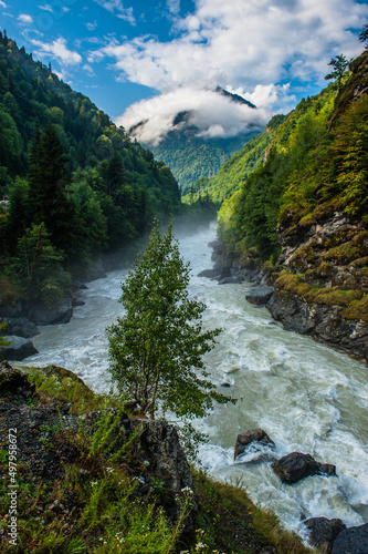 Mountain slopes landscape with fir trees in the fog in Svaneti, Georgia