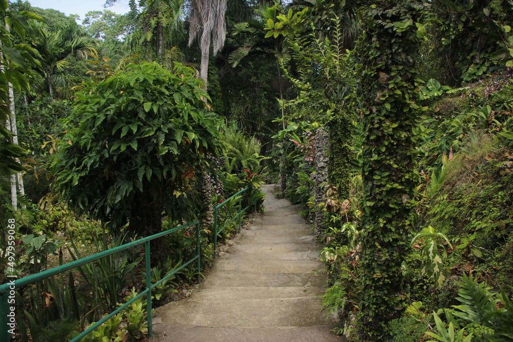 Jamaica Shaw Park Botanical Gardens