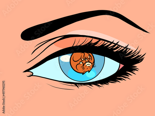 cat kitten pet animal instead of a pupil in a womans eye