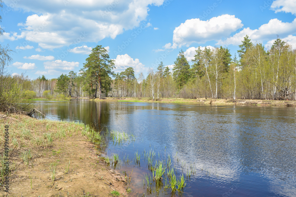 Fototapeta premium Spring in central Russia.