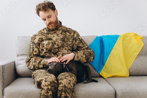 A Ukrainian soldier in military uniform is sitting on a sofa with his faithful friend, an Amstaff dog, on the background yellow and blue flag.