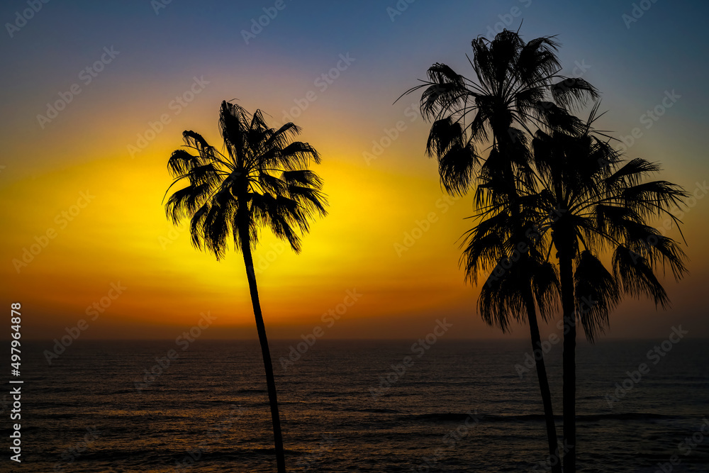 2022-04-09 A BEAUTIFUL ORANGE SUNSET IN LA JOLLA CALIFORNIA WITH BACKLIT PALM TREES AND A CALM DARK PACIFIC OCEAN