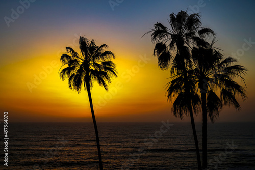 2022-04-09 A BEAUTIFUL ORANGE SUNSET IN LA JOLLA CALIFORNIA WITH BACKLIT PALM TREES AND A CALM DARK PACIFIC OCEAN