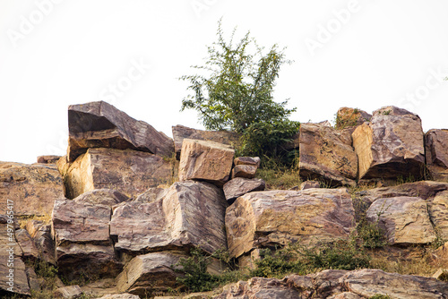 thorny vegetation on the rocky surface of the sacred Indian hill govardhan photo