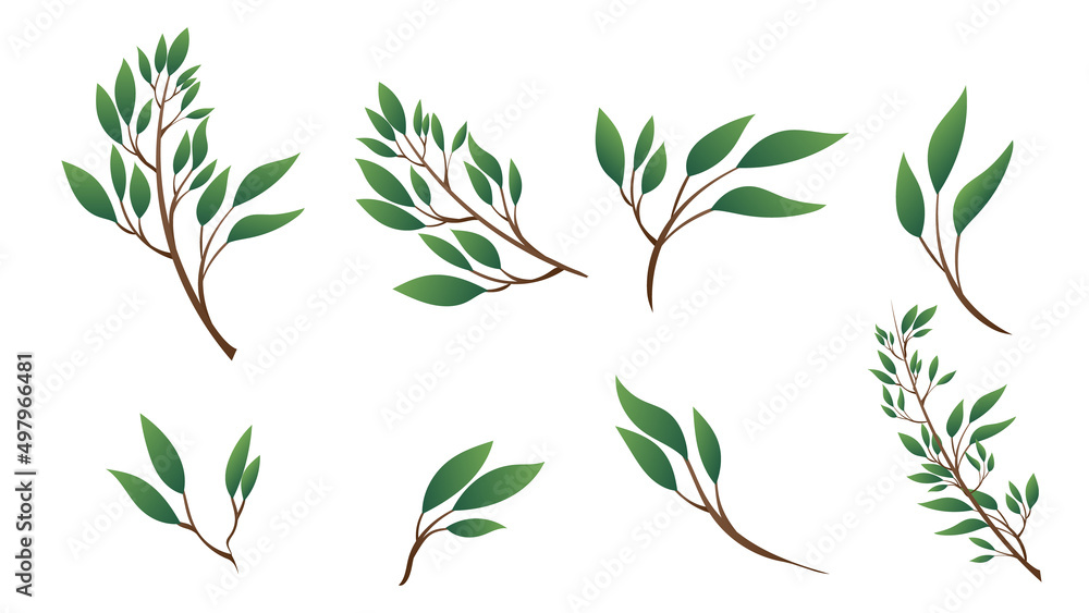 cartoon  green leaves and branches .isolated on white background ,Vector illustration EPS 10