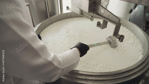 A worker of the cheese factory, who is in the production room, shovels the mixture for making cheese. Close-up of a hand with a spatula. Cheese making technology. Smooth camera movement