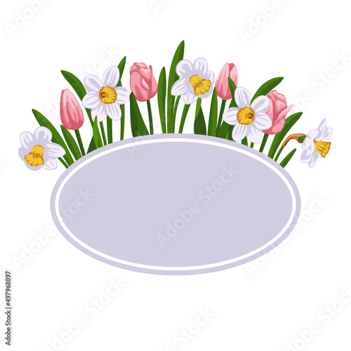 flower bed. Tulips and daffodils