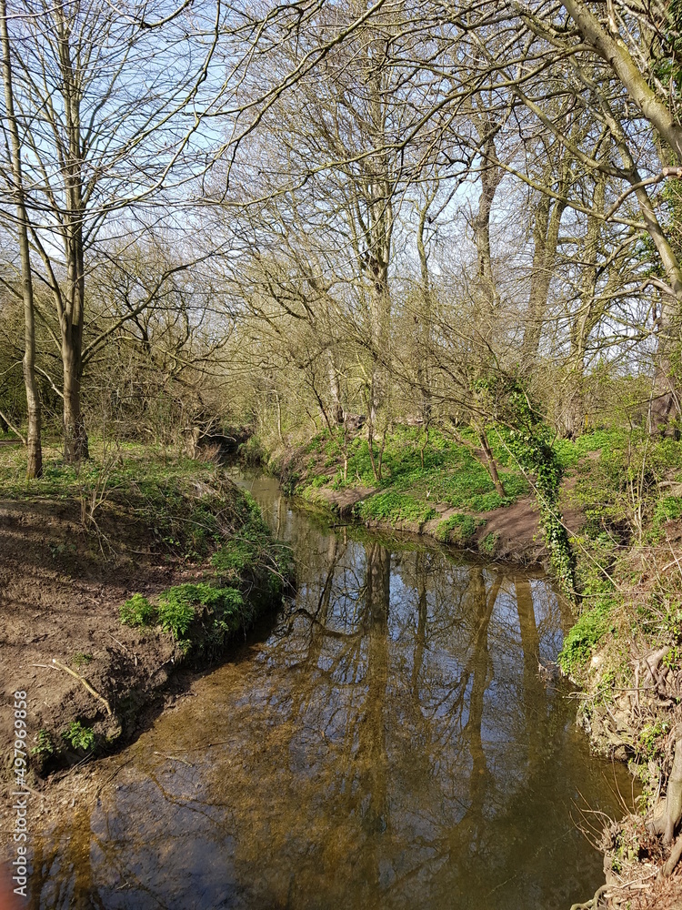 Stour stream, East town park, Haverhill, March 2022 Stour stream, East town park, Haverhill, March 2022