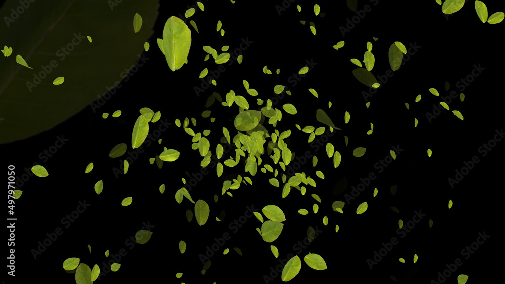 Futuristic green leaves of an apple tree rotate in space with the wind. Apple leaves fly in the night autumn sky. 3D. 4K. Isolated black background. Futuristic green leaves of an apple tree rotate in space with the wind. Apple leaves fly in the night autumn sky. 3D. 4K. Isolated black background.